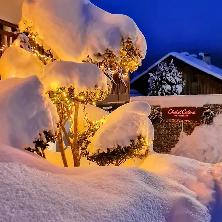 Apartament Catina - Kaernten Card Im Sommer Inklusive -