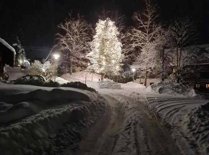 Catina * Бад-Кляйнкірхгайм